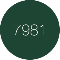 E7981 zielony